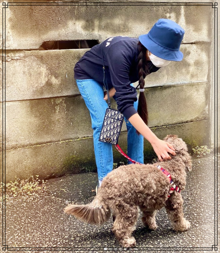 愛犬アムとcocomiさんの散歩画像
