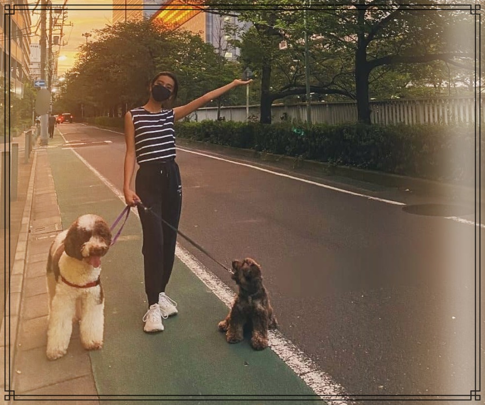 愛犬アムとkokiさんの散歩画像